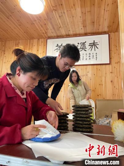 資料圖：杜贏(左二)在整理白茶餅?！×执阂?攝